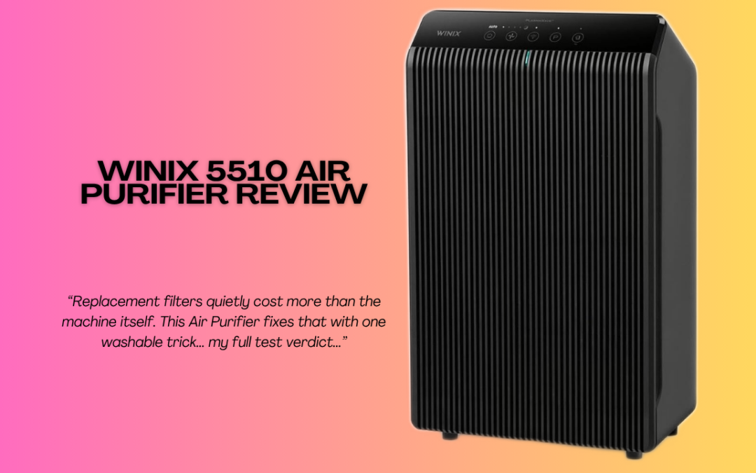 Quick Review Of The WINIX 5510 Air Purifier